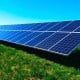 Toshkentda agro-fotovoltayik loyiha ishga tushiriladi