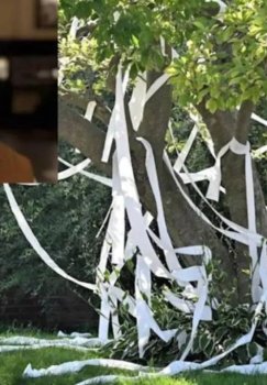 The teacher died tragically as a result of students' prank.