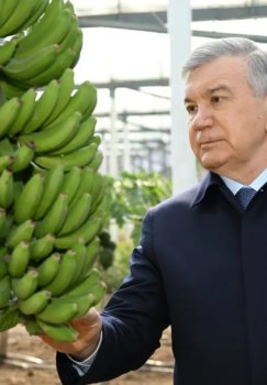 The President familiarized himself with the activities of the "Tomorqa School"