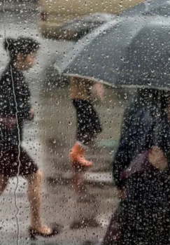 Payshanba kuni ko‘plab hududlarda yomg‘ir kutilmoqda.