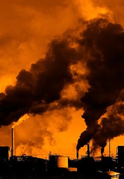 Sun'iy intellekt rivoji ekologiyaga zararli tashlamalar miqdorini oshirmoqda