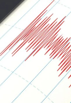 В Джизаке зафиксировано землетрясение магнитудой 3,7 балла
