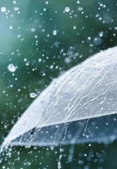 Завтра во многих районах ожидаются осадки.