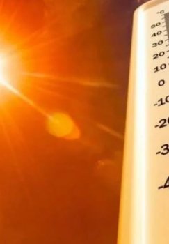 Ertaga O'zbekistonning ayrim hududlarida havo harorati 37 darajagacha ko'tariladi
