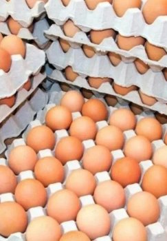 Kazakhstan imposes a six-month ban on chicken egg imports.