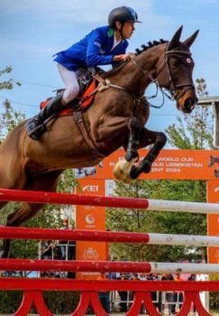 Prestigious International Show Jumping Competitions Kick Off in Tashkent
