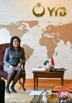 Educational cooperation between Uzbekistan and Turkey is developing