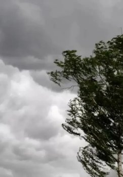 O'zbekistonda ob-havo sharoiti o'zgaruvchan kechishi kutilmoqda