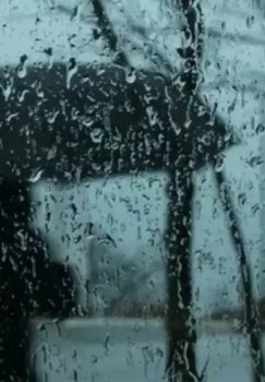 В Узбекистане ожидается прохладная весенняя погода