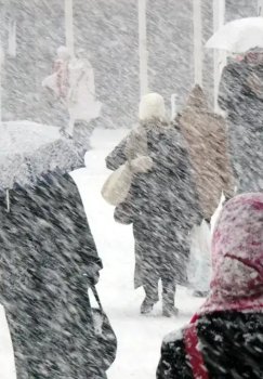 31-yanvar: Ayrim hududlarda yomg‘ir va tuman kutiladi