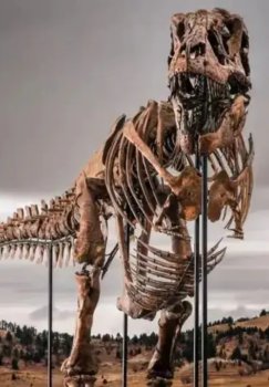Nyu-Yorkda tirannozavr skeleti rekord darajadagi narxda sotildi