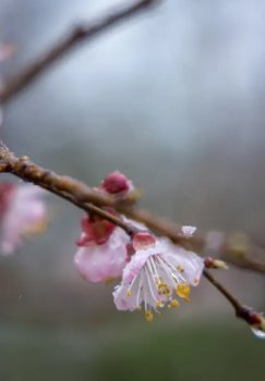 22 февраля: Теплая и ясная погода по всему Узбекистану