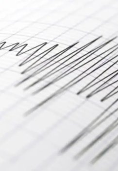 Afgonistonda yuz bergan kuchli zilzila Ozbekistonda ham sezildi