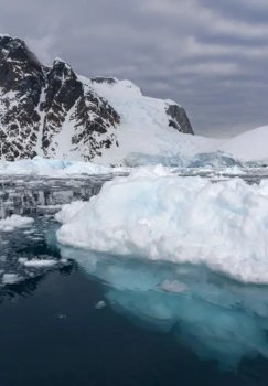 Antarktida muzlari qisqarishi global xavf tug‘dirmoqda