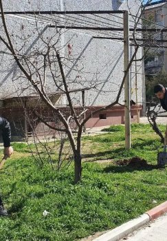 O'zbekistonda Yosh ekolog ko'krak nishoni ta'sis etildi