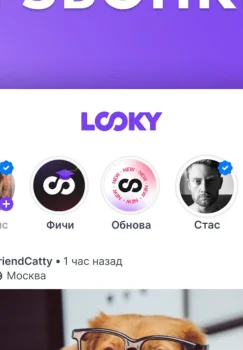 Luki ilovasida audio va videoqo'ng'iroqlar funksiyasi ishga tushirildi