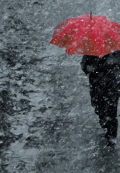 On March 4, various weather conditions will be observed in Uzbekistan