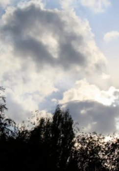 25-fevral: O‘zbekistonda havo o‘zgaruvchan bo‘ladi