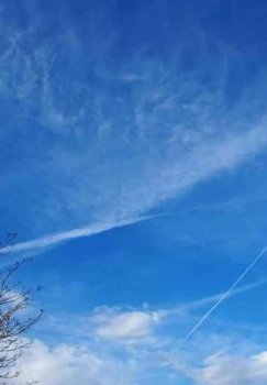 Dam olish kunlari O'zbekistonda asosan quruq ob-havo kutilmoqda