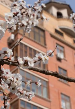 O'zgidromet has announced the weather forecast for March 13