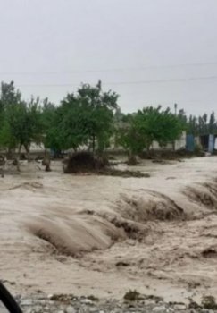O'zbekistonning bir qator hududlarida sel kelishi xavfidan ogohlantirildi
