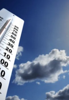 O'zbekistonda kelajak hafta issiq va qulay ob-havo kutilmoqda