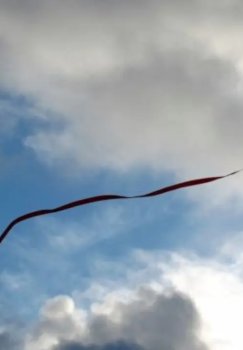 Yaqin kunlarda mamlakatimizda issiq va quyoshli ob-havo hukm suradi