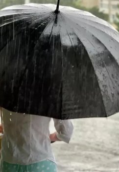 Artificial rain is planned in Tashkent