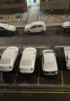 Unexpected snow fell in Tashkent in spring