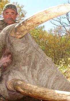 Gabonda yovvoyi fillar amerikalik badavlat ovchini toptab o'ldirdi