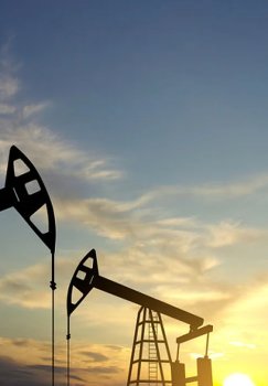 The International Energy Agency Decided to Release Oil Reserves to the Market
