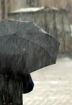 O'zbekistonda yog'ingarchilik va tuman kutilmoqda