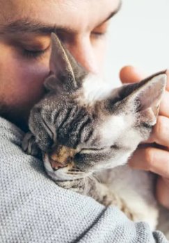 Mushugi uchun sudlashgan erkakka 40 ming yevro to‘landi