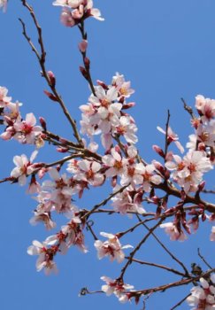 Weekly weather forecast announced in the country