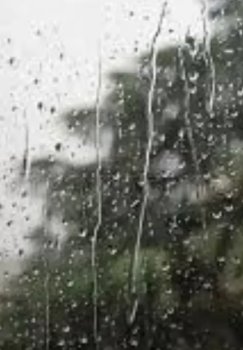 Variable weather and rain are expected in Tashkent today.