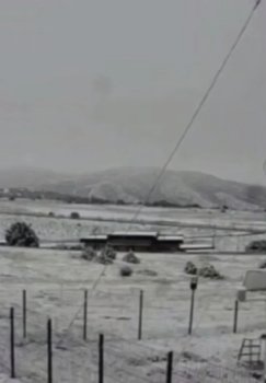 Zomin tumanidagi Suffa hududida bahorda kutilmaganda qor yogdi