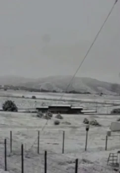 Zomin tumanidagi Suffa hududida bahorda kutilmaganda qor yogdi