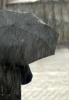 Kuchli yomg‘ir sababli sel xavfi e’lon qilindi