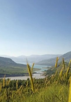 Ish haftasi oxirida O'zbekistonda issiq ob-havo hukm suradi