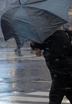 O'zbekistonda 12 martda yog'ingarchiliksiz ob-havo va tuman kutilmoqda