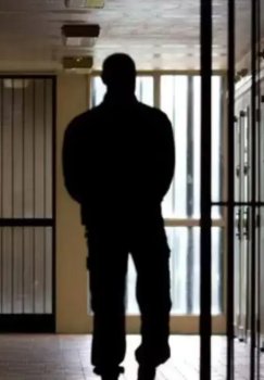 2025 yilda 63 mingdan ortiq jinoyat ishi ko‘rildi