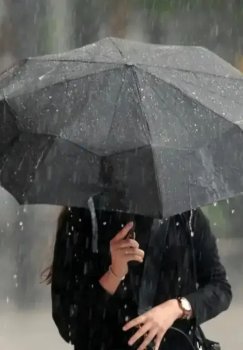 3 марта в Узбекистане ожидается разная погода