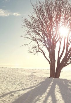 Fifty degrees of cold are expected in Kazakhstan in the coming days.