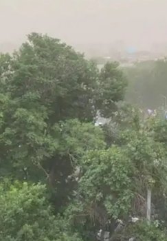O'zbekistonning ayrim hududlarida kuchli shamol va chang-to'zon kutilmoqda