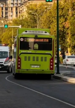 Nurafshon va Bektemir o'rtasida ekspress avtobuslar harakatlanadi