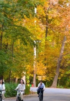 Toshkent Botanika bog'ida velosiped va samokatlar harakati taqiqlandi