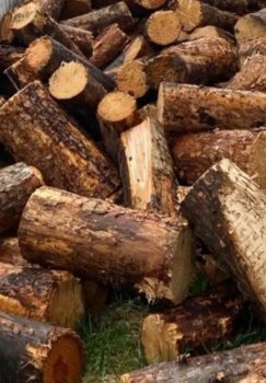 Hindistonda gaz tanqisligi an’anaviy yoqilg‘ilarga qaytishni keltirdi