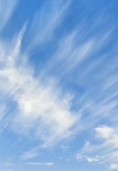 O'zbekistonda ob-havo sharoiti o'zgaruvchan bo'ladi