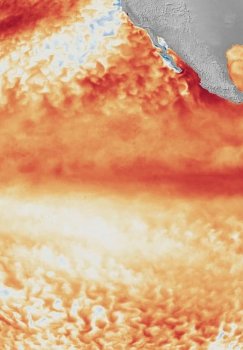El Nino hodisasi tufayli sayyoramizda g'ayritabiiy issiq harorat kuzatiladi