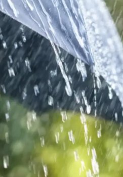 В Узбекистане 26 февраля погода будет переменчивой